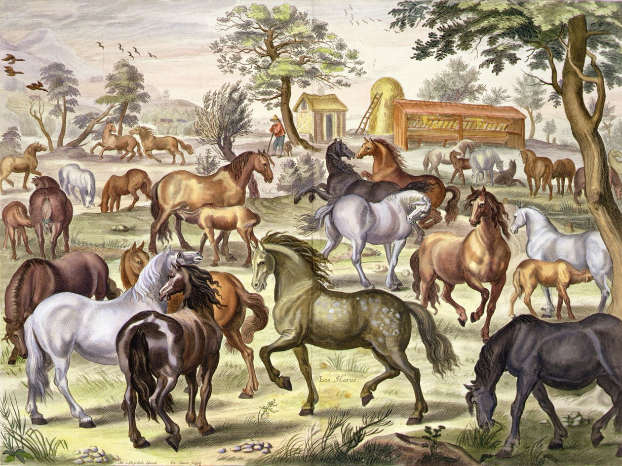 خيول الجري الحر ، اللوحة 11 من "الطريقة والاختراع الجديد لتزيين الخيول" بقلم ويليام كافنديش (1592-1676) ماركيز نيوكاسل ، نقش بواسطة بيتروس كلويت (1629-70) 1657 (أكواتينت) بواسطة ابراهام يانز. فان (بعد) ديبنبيك