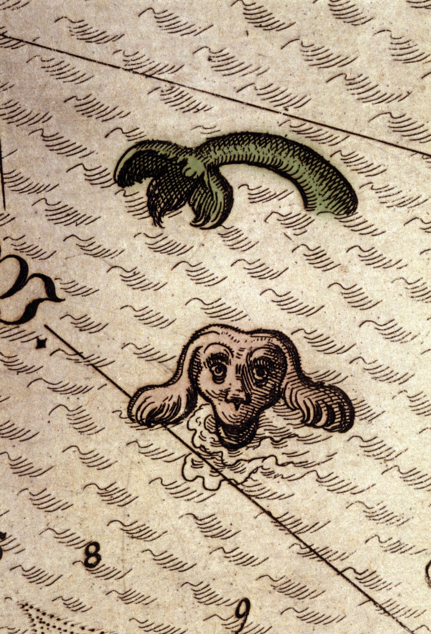 وحش بحري له رأس كلب وجسم سمكة. تفاصيل خريطة في "Theatrum Orbis Terrarum" بقلم أبراهام أورتيليوس ، أنتويرب 1584. بواسطة إبراهيم أورتيليوس