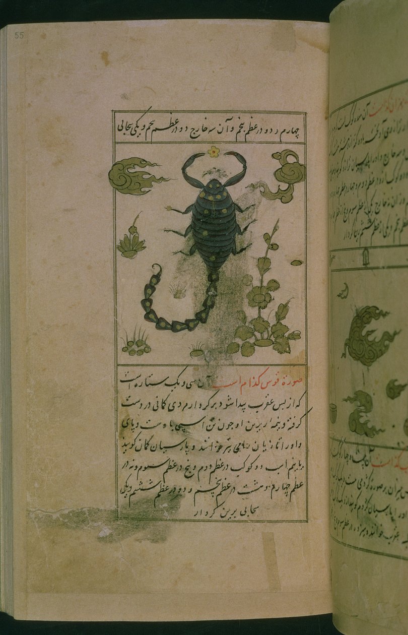 أبراج البروج: العقرب ، العقرب ، من تلم دار المعرفة في التقوى ، 1498 هـ (903 هـ) (حبر). بواسطة أبو جعفر الطبري