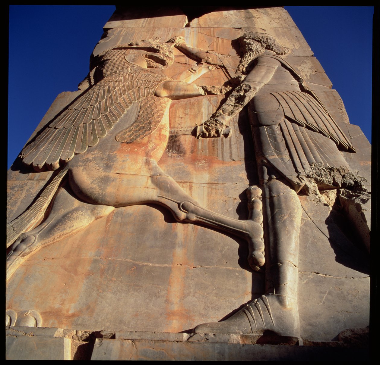 ملك البطل المثالي ، المفترض أنه Xerxes (c.519-465 قبل الميلاد) ، طعن وحش ، التفاصيل من قاعة عرش Xerxes ، c.480 قبل الميلاد (انظر 179110) بواسطة الأخمينية
