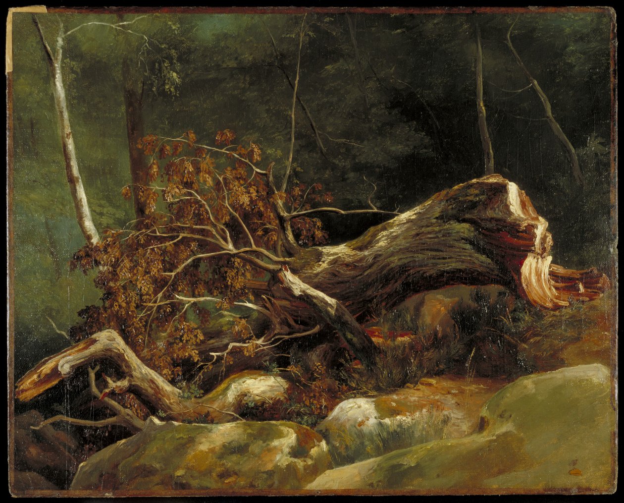 The Fallen Branch ، Fontainebleau ، c.1816 (زيت على قماش على بطاقة) بواسطة أشيل إتنا ميشالون