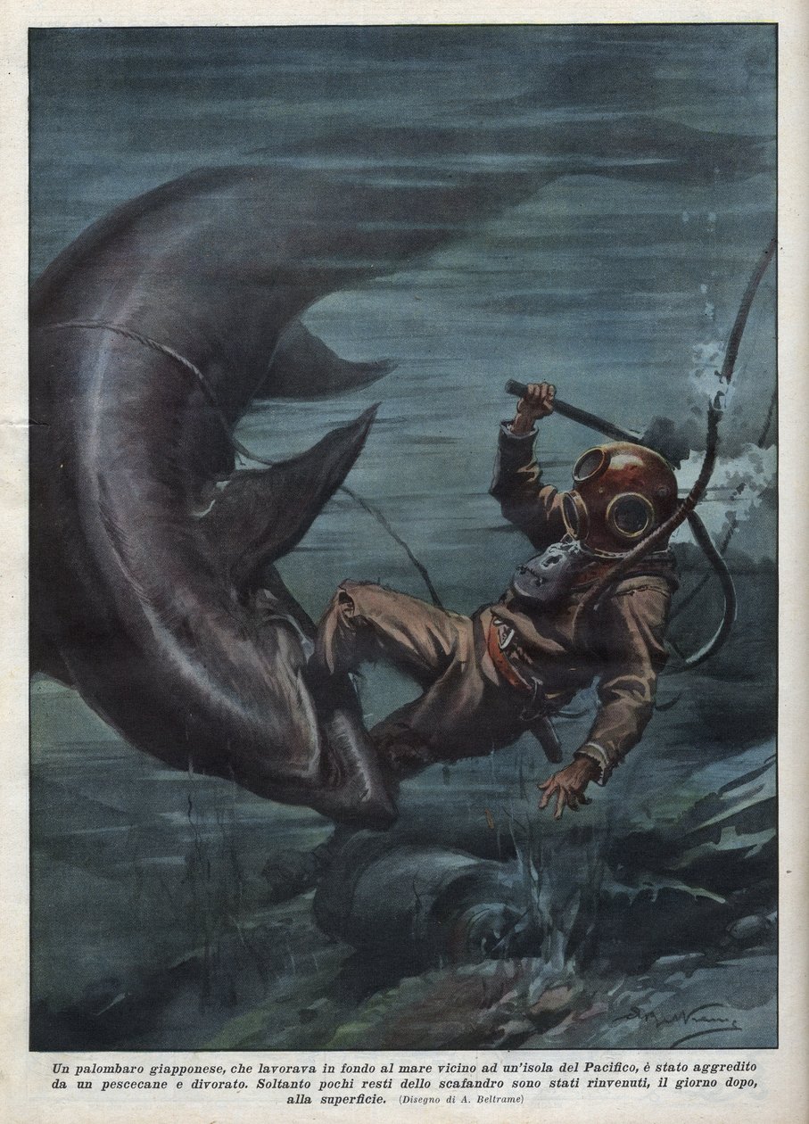 A Japanese diver with a scaphandler was devoured by a shark in the Pacific Ocean. Illustration by Achille Beltrame from “La domenica del corriere”” of 08/08/1937. بواسطة أخيل بيلترام