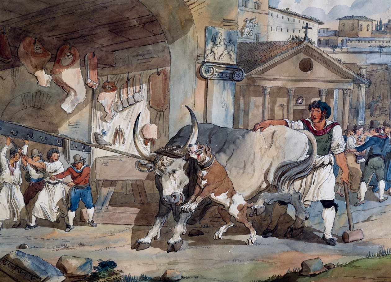 جزار ، لأخيل بينيلي (1809-1841) ، رسم بالألوان المائية ، إيطاليا بواسطة أخيل بينيلي