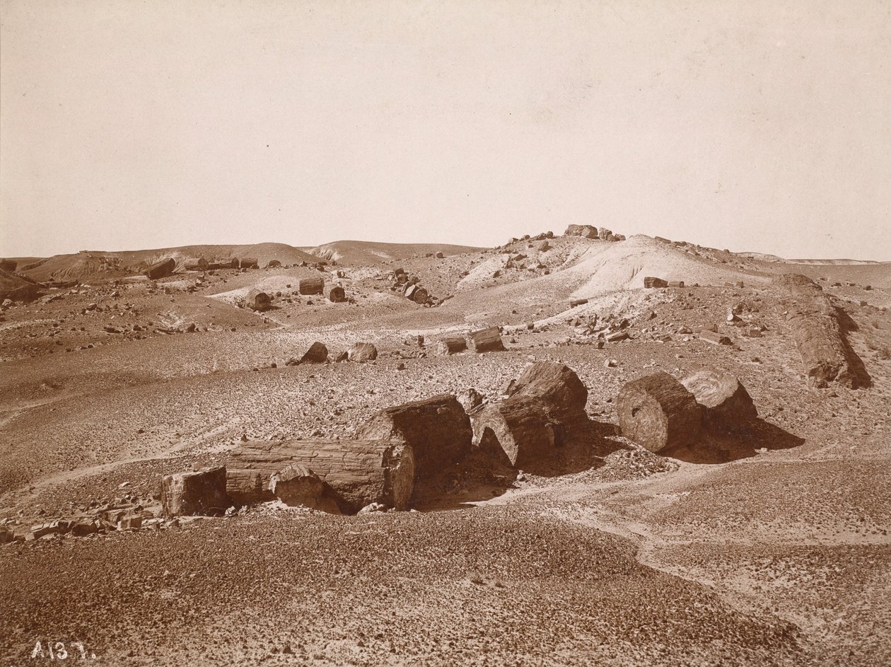  بواسطة آدم كلارك فرومان