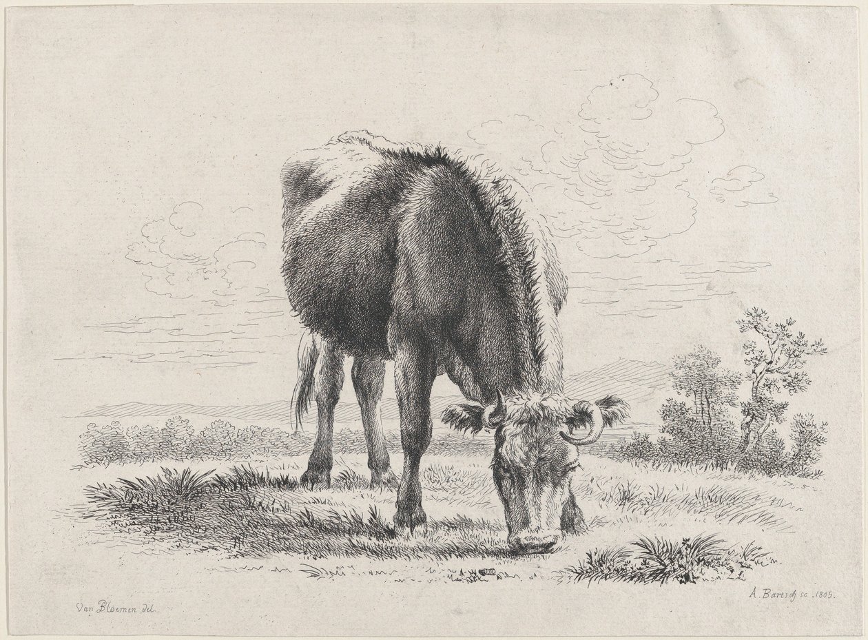 رعي الأبقار ، 1805 ، 1805. بواسطة آدم فون بارتش