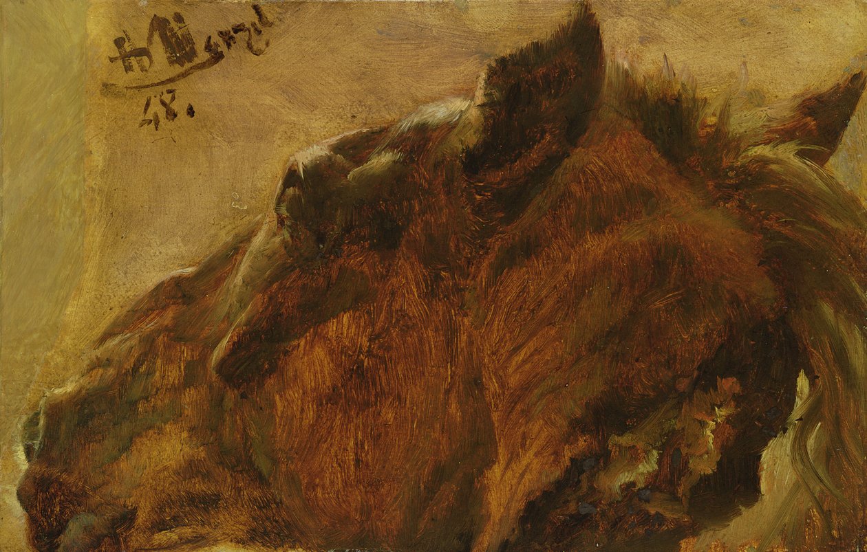 رأس حصان ميت ، 1848 (زيت على ورق مثبت على قماش) بواسطة أدولف مينزل