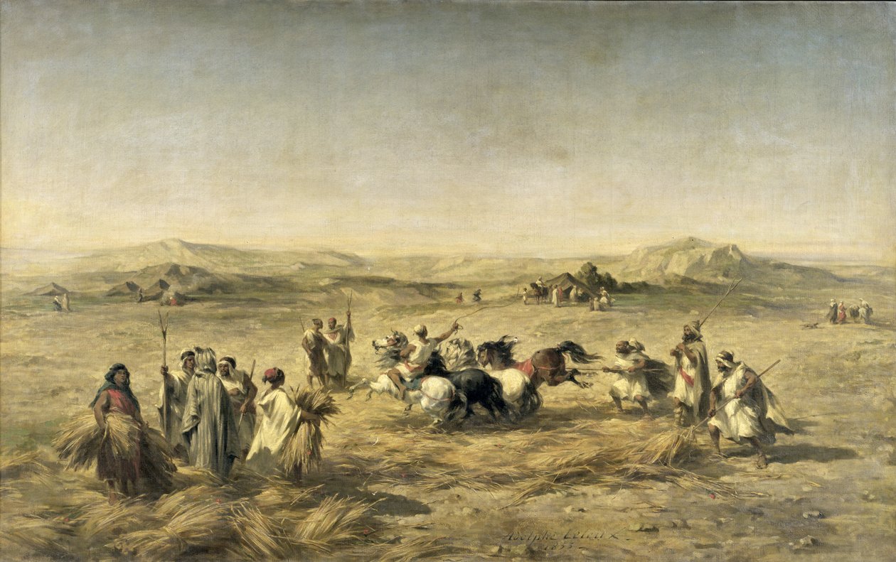 دراس القمح في الجزائر ، 1853 بواسطة أدولف بيير ليلو