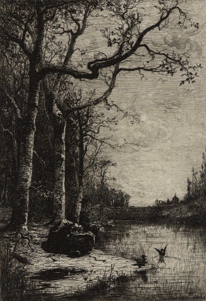 The Burbanche Marsh (large plate), c.1870 (etching) بواسطة أدولف أبيان