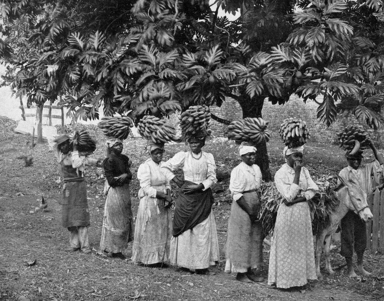 ناقلات الموز ، جامايكا ، c1905 بواسطة أدولف دوبيرلي وابنه