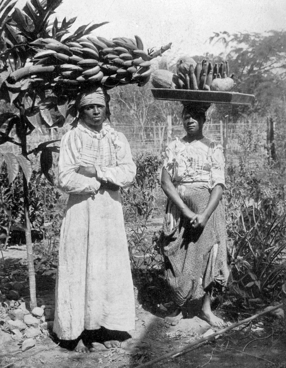 بائعو الفاكهة ، جامايكا ، c1905 بواسطة أدولف دوبيرلي وابنه