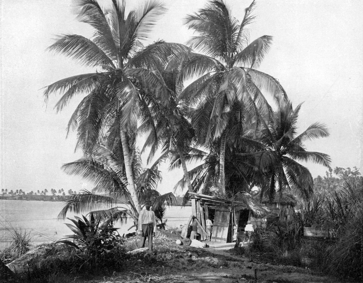 على الطريق إلى Blue Hole ، بورت أنطونيو ، جامايكا ، c1905. بواسطة أدولف دوبيرلي وابنه