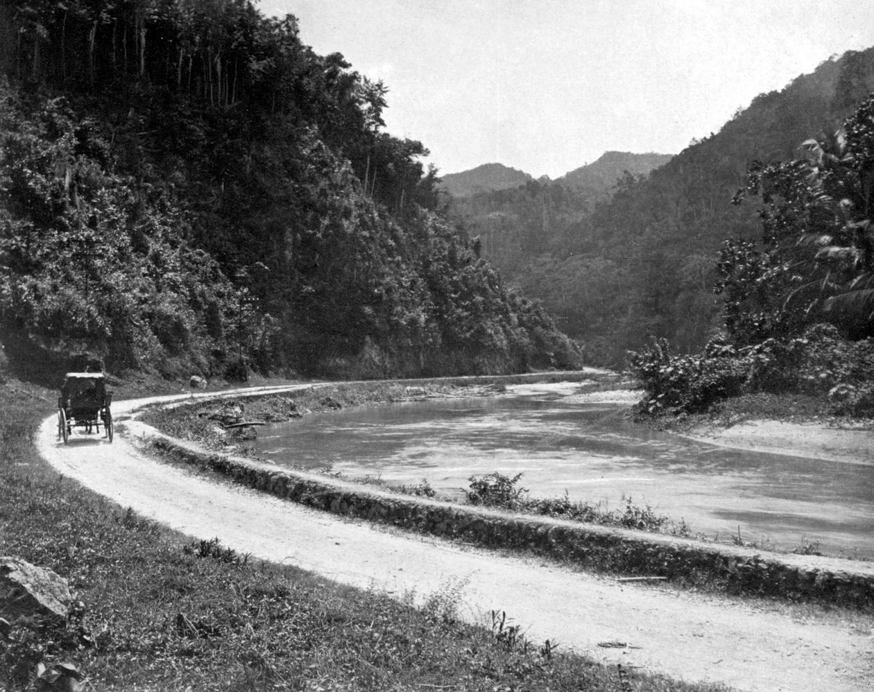 الطريق إلى Bog Walk ، جامايكا ، c1905. بواسطة أدولف دوبيرلي وابنه