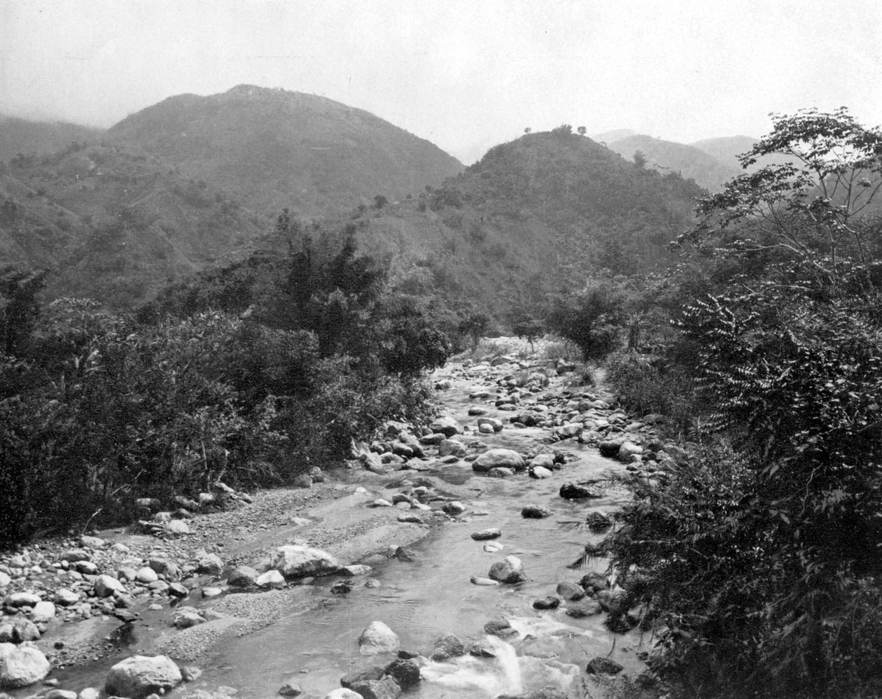 The Wag-River ، كاسلتون ، جامايكا ، c1905. بواسطة أدولف دوبيرلي وابنه