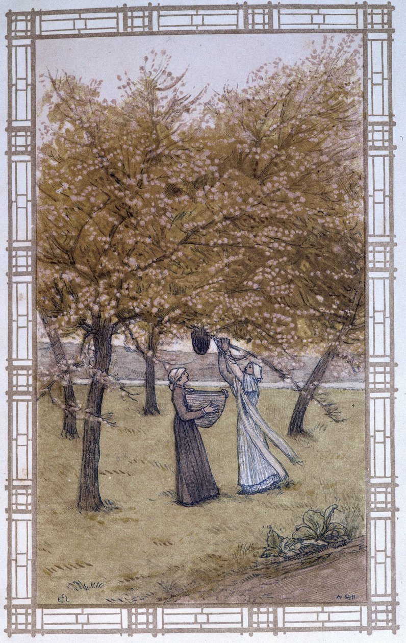 حياة النحل: كشك سرب - رسم أ. جيرودون بواسطة Adolphe Giraudon