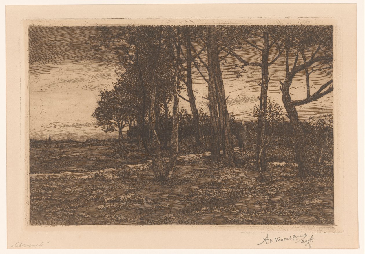 المناظر الطبيعية مع الأشجار المساء (العنوان على الكائن) بواسطة Adolphe PH J. van Weezel Errens (بتوقيع الفنان)