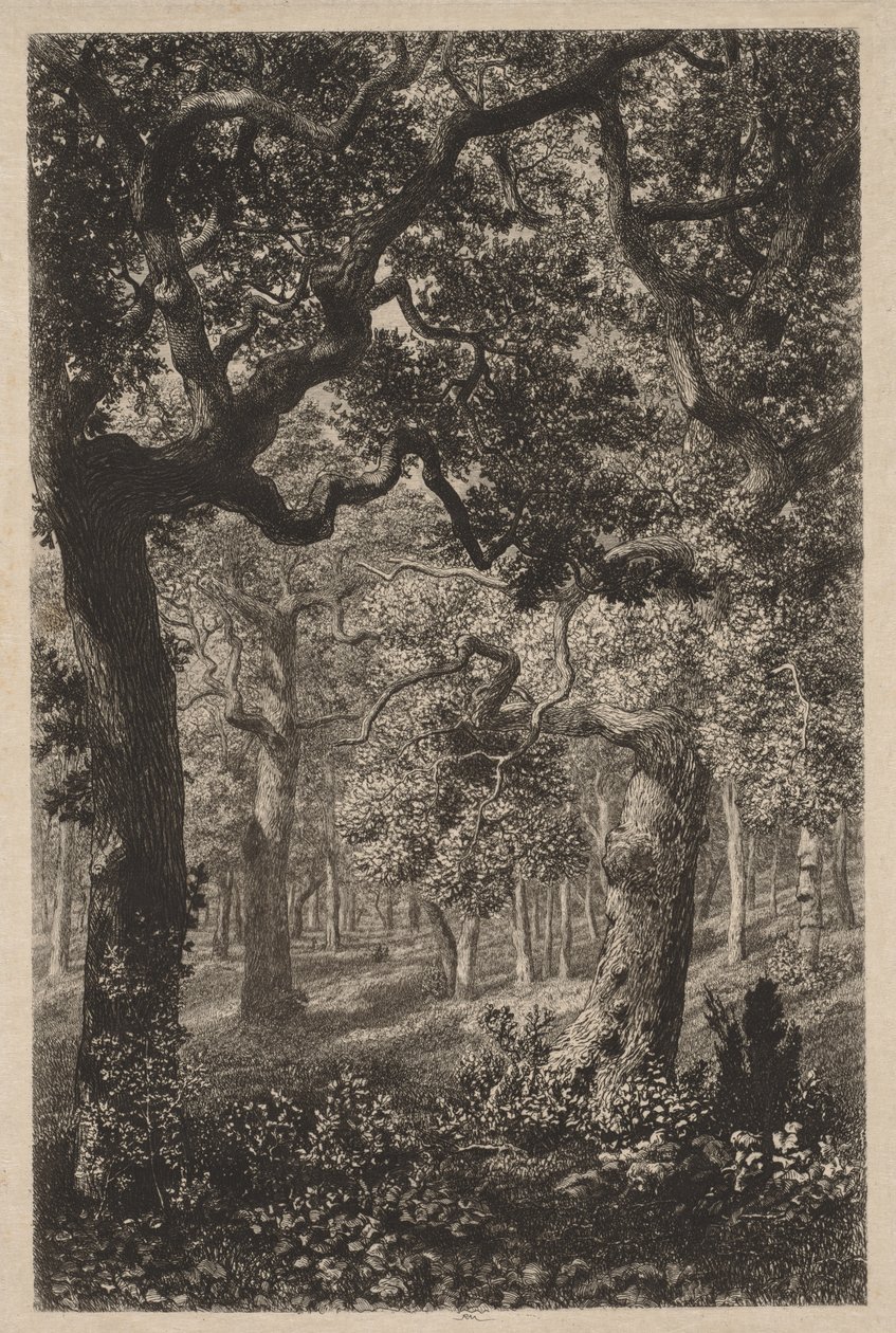 في الغابة بواسطة Adolphe Théodore Jules Martial Potémont