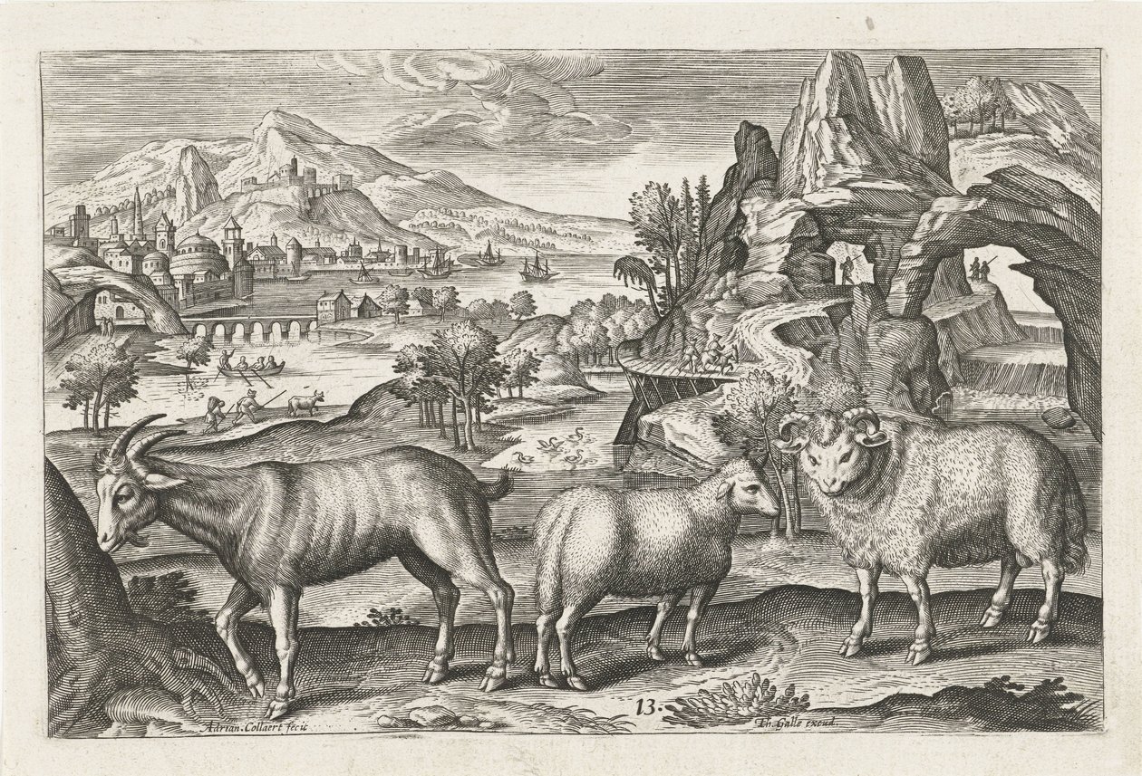الماعز والأغنام الحيوانات ذات الأرجل الأربعة (عنوان السلسلة) Animalivm Qvaddrvpedvm (عنوان السلسلة) بواسطة أدريان كوليرت