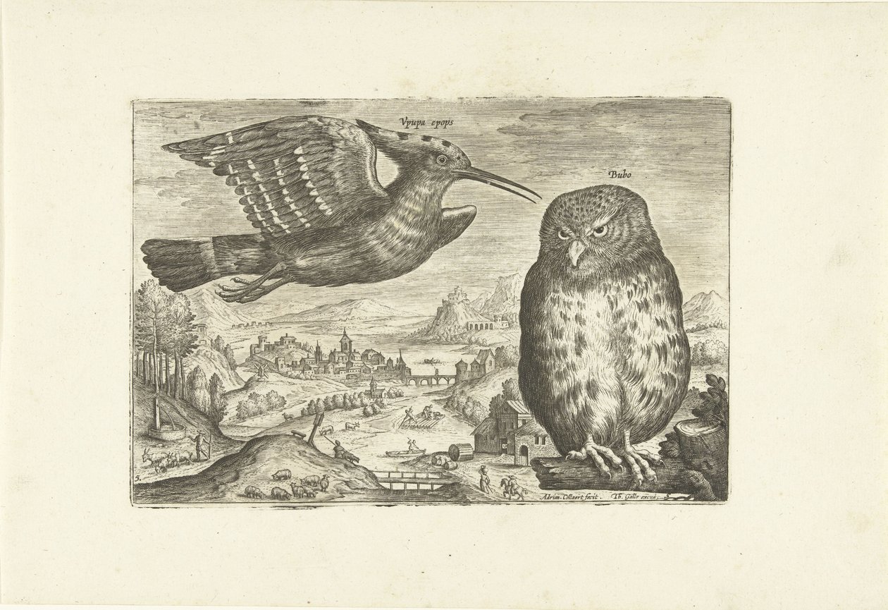 بعض الطيور في المناظر الطبيعية الطيور (عنوان السلسلة) Avium vivae (عنوان المسلسل) بواسطة أدريان كوليرت