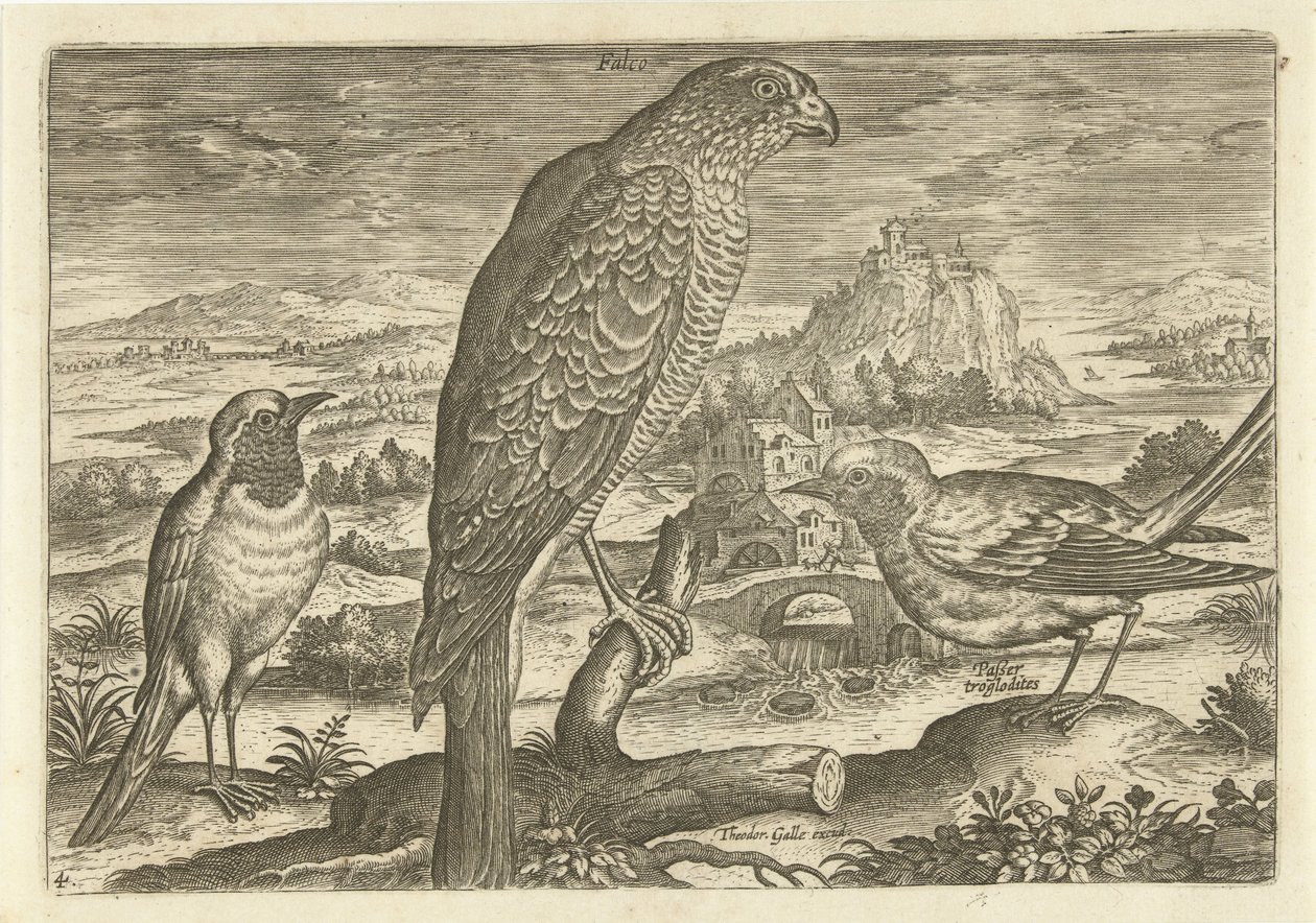 بعض الطيور في المناظر الطبيعية الطيور (عنوان السلسلة) Avium vivae (عنوان المسلسل) بواسطة أدريان كوليرت