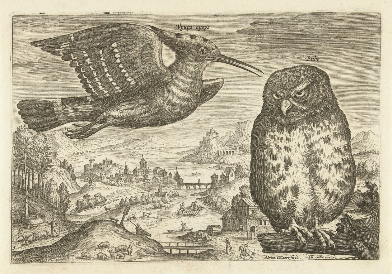 بعض الطيور في المناظر الطبيعية الطيور (عنوان السلسلة) Avium vivae (عنوان المسلسل) بواسطة أدريان كوليرت