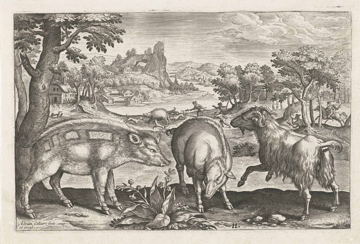الماعز والخنزير الحيوانات ذات الأرجل الأربعة (عنوان السلسلة) Animalivm Qvaddrvpedvm (عنوان المسلسل) بواسطة أدريان كوليرت