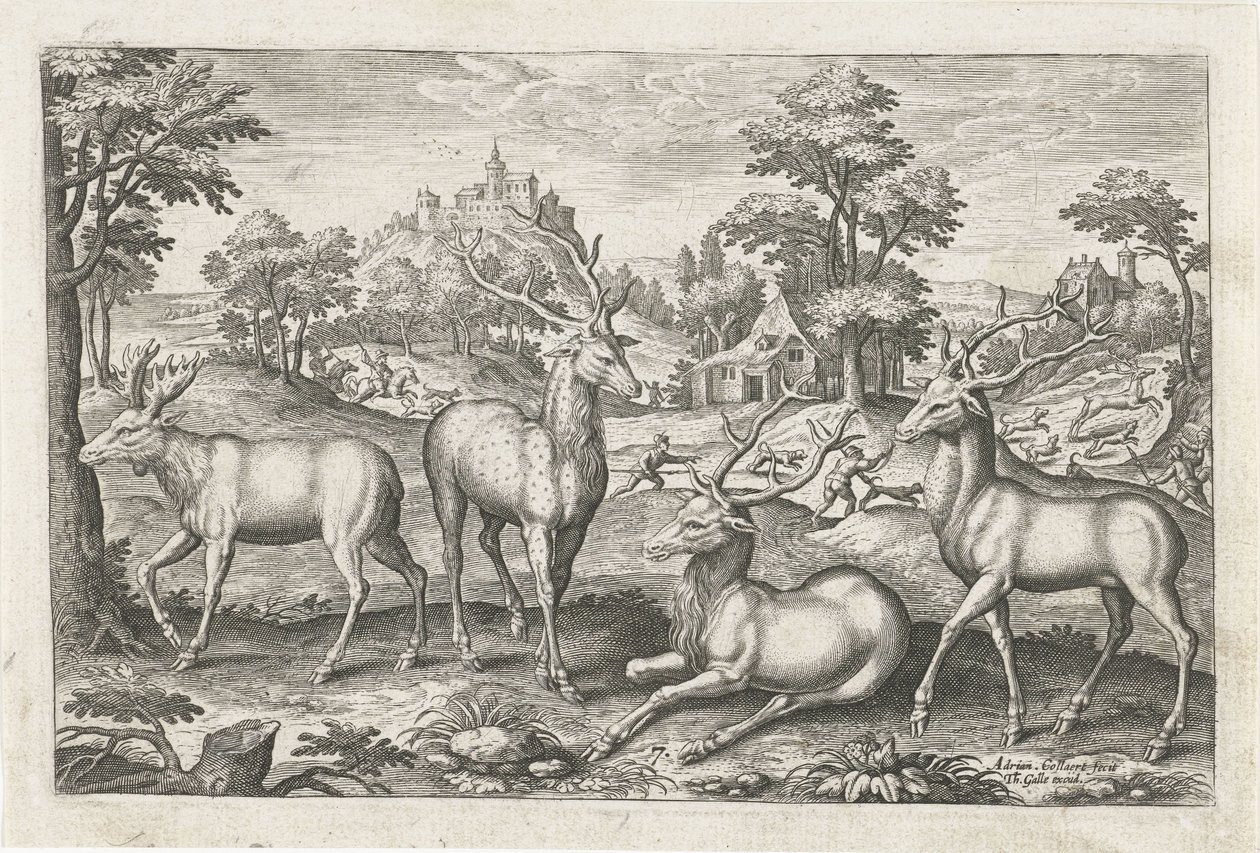 عزيزي الحيوانات ذات الأرجل الأربعة (عنوان السلسلة) Animalivm Qvaddrvpedvm (عنوان المسلسل) بواسطة أدريان كوليرت