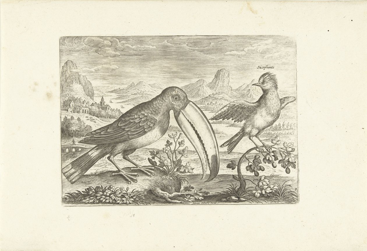 عصفورين غريبين في منظر طبيعي الطيور (عنوان السلسلة) Avium vivae (عنوان المسلسل) بواسطة أدريان كوليرت