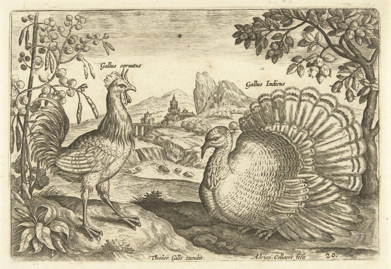 طفلان في منظر طبيعي Avium Vivae (عنوان المسلسل) الطيور (عنوان السلسلة) بواسطة أدريان كوليرت
