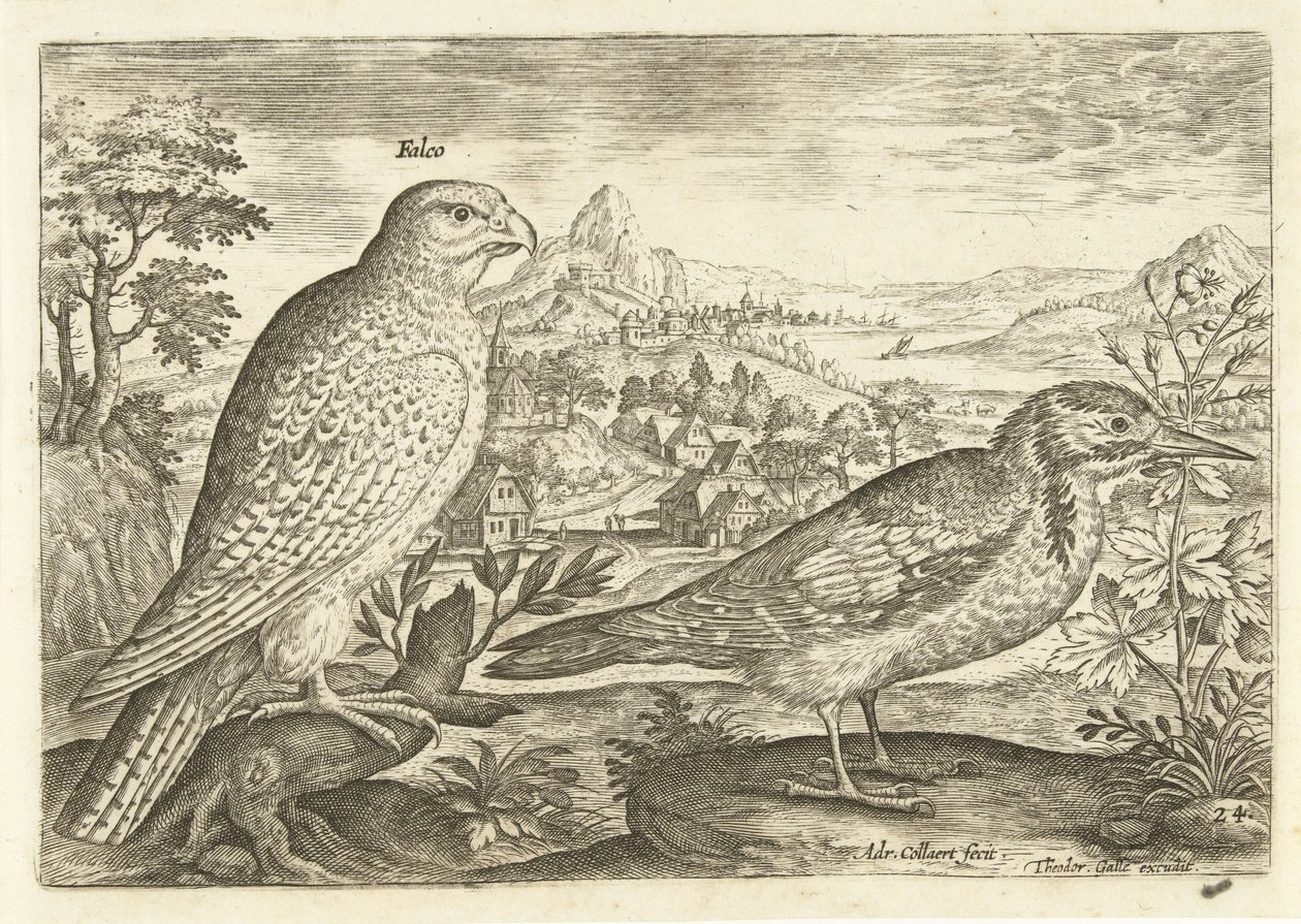 عصفورين في منظر طبيعي Avium Vivae (عنوان المسلسل) الطيور (عنوان السلسلة) بواسطة أدريان كوليرت