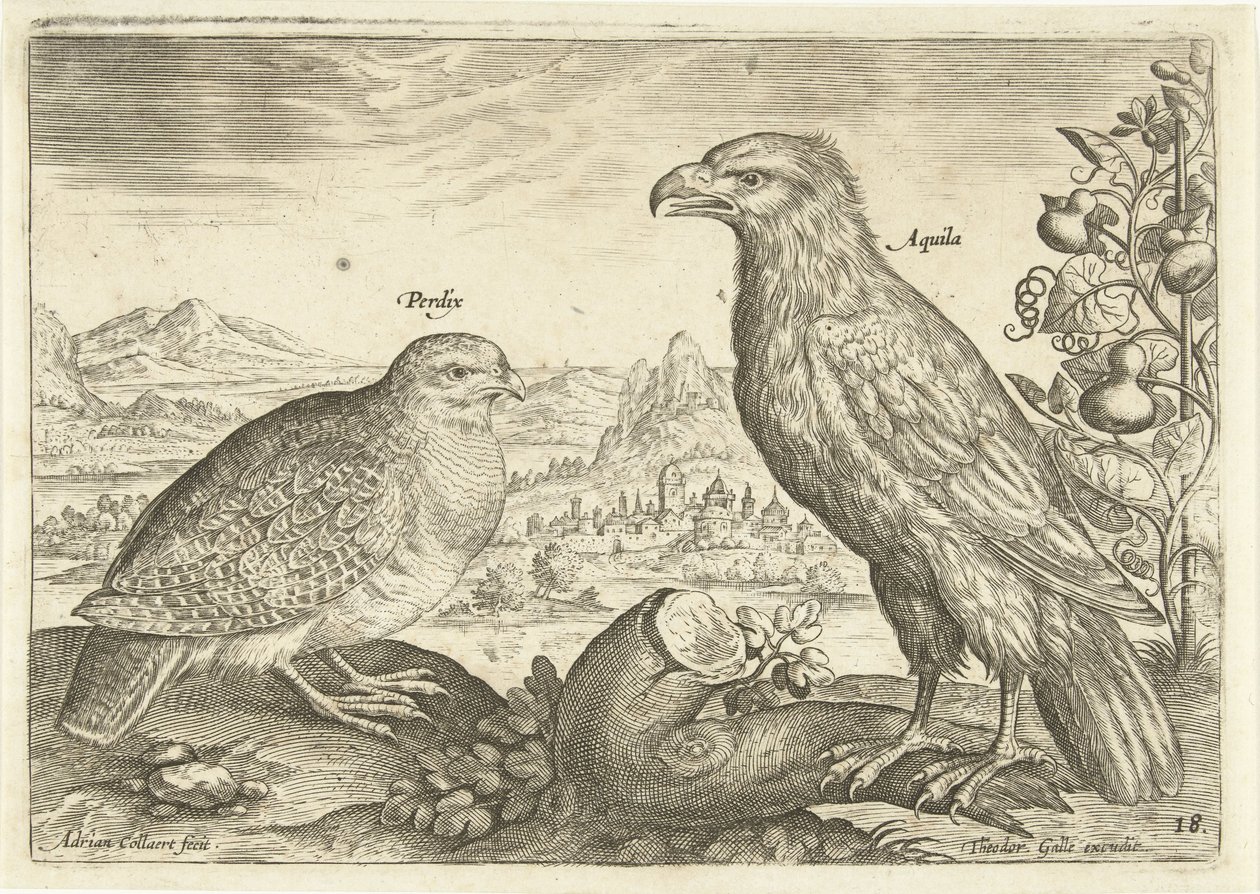 عصفورين في منظر طبيعي Avium Vivae (عنوان المسلسل) الطيور (عنوان السلسلة) بواسطة أدريان كوليرت