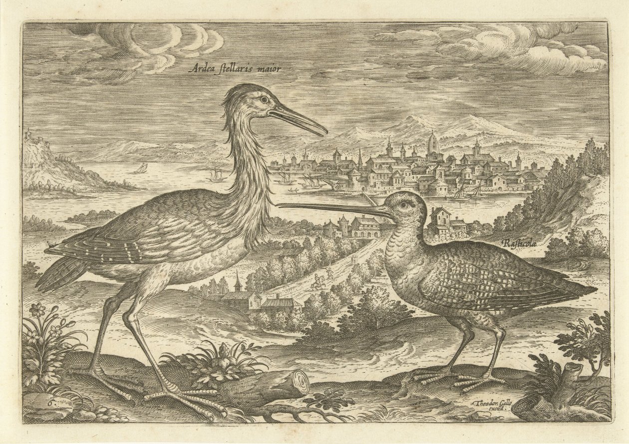 عصفورين في منظر طبيعي الطيور (عنوان السلسلة) Avium vivae (عنوان المسلسل) بواسطة أدريان كوليرت