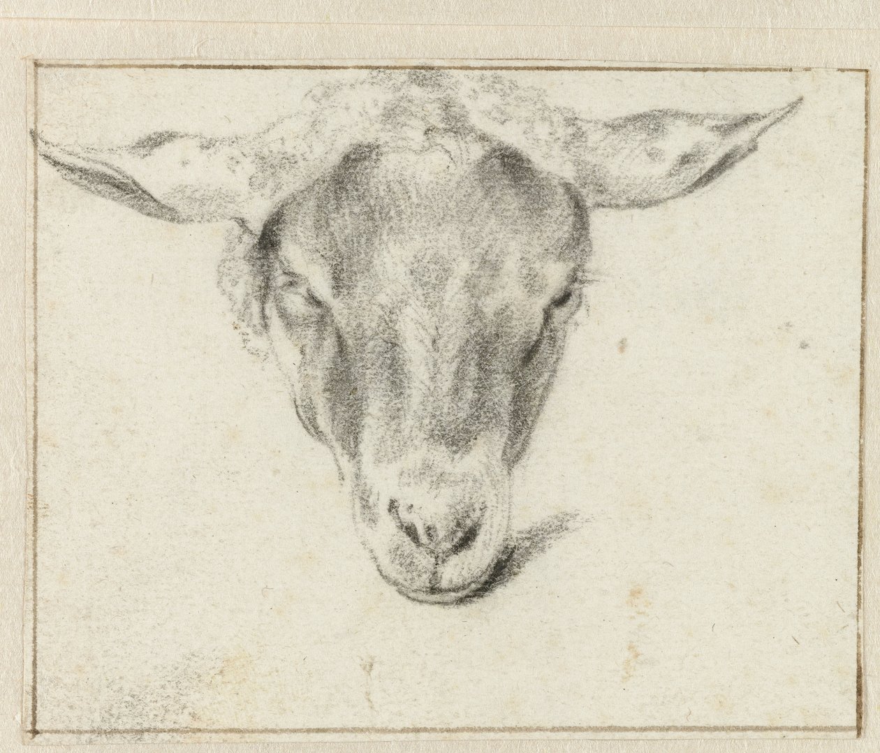 رأس غنم من الأمام بواسطة Adriaen van de Velde (منسوب إلى)
