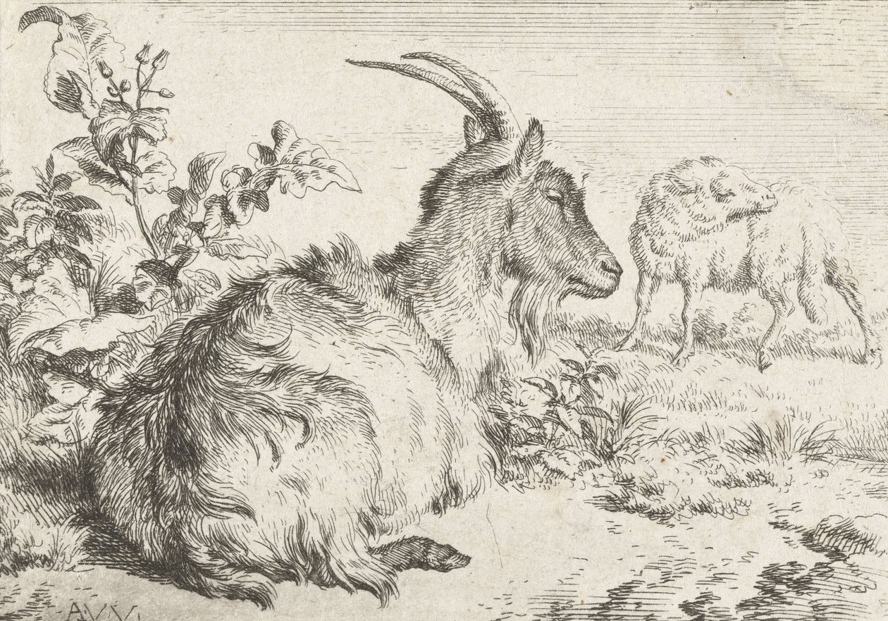 الماعز الكذب ، 1670 بواسطة أدريان فان دي فيلدي
