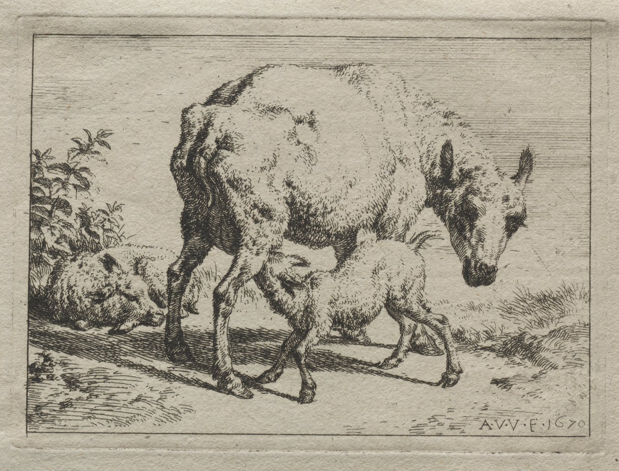 النعجة وحملان ، 1670. بواسطة أدريان فان دي فيلدي