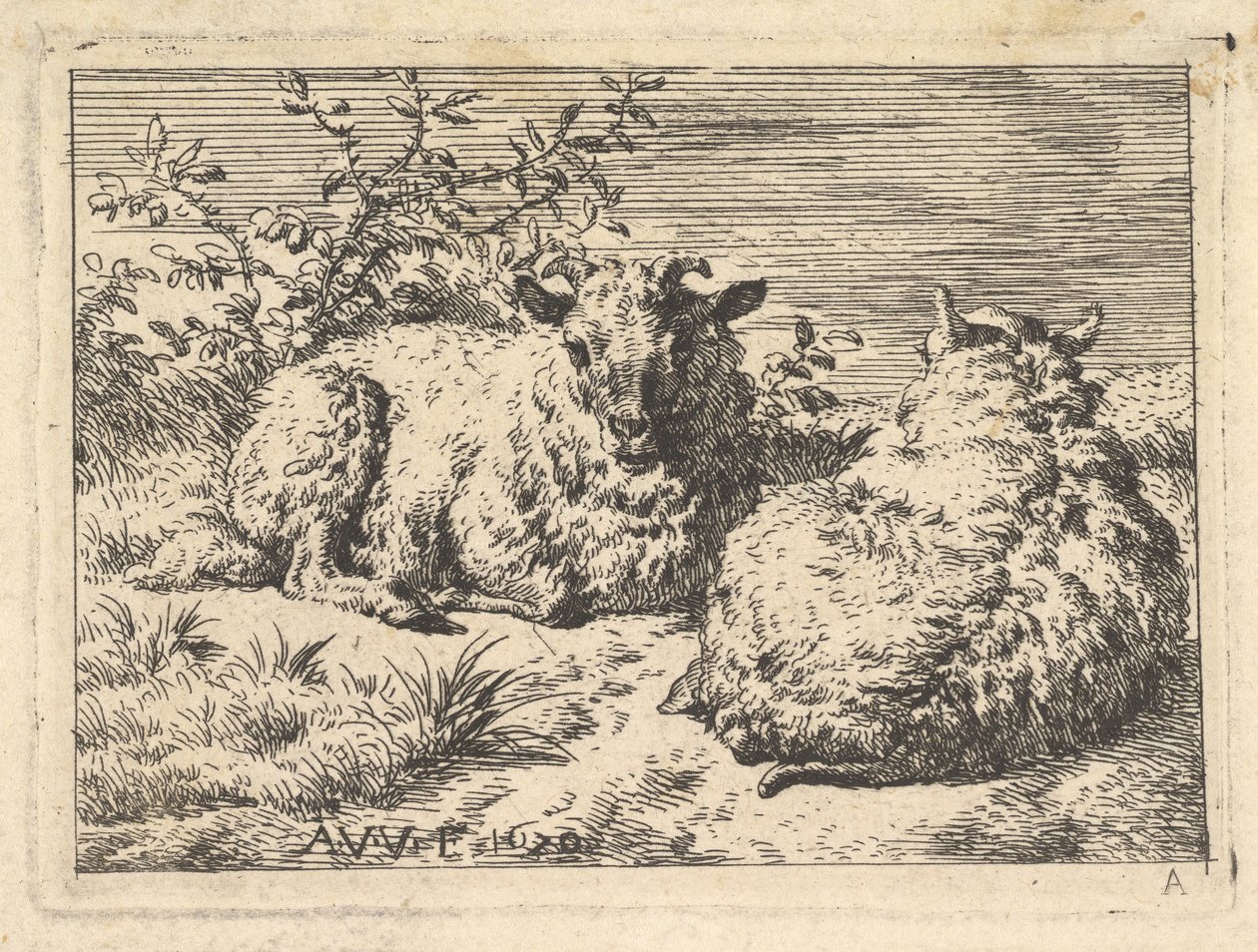 خروفان راقدان ، 1670. بواسطة أدريان فان دي فيلدي