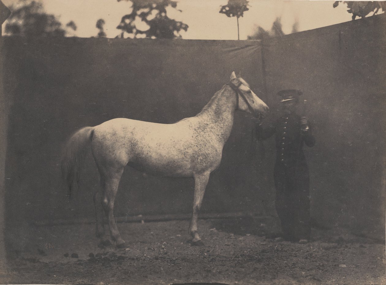 باسكالين ، كاليفورنيا. 1855-60. بواسطة أدريان ألبان تورناشون