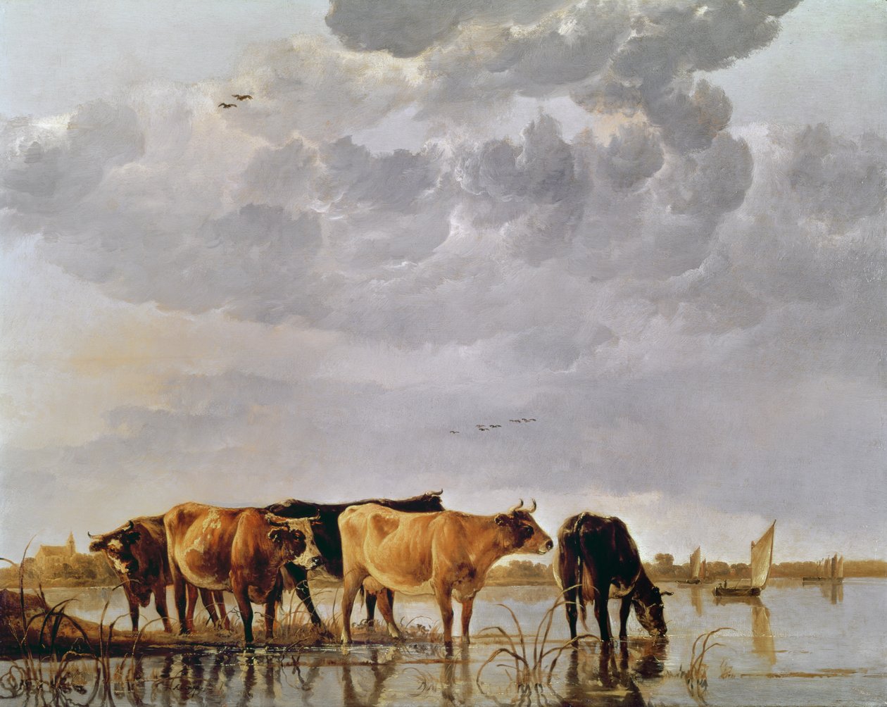 الأبقار في النهر ، c.1650 بواسطة آلبرت كويب