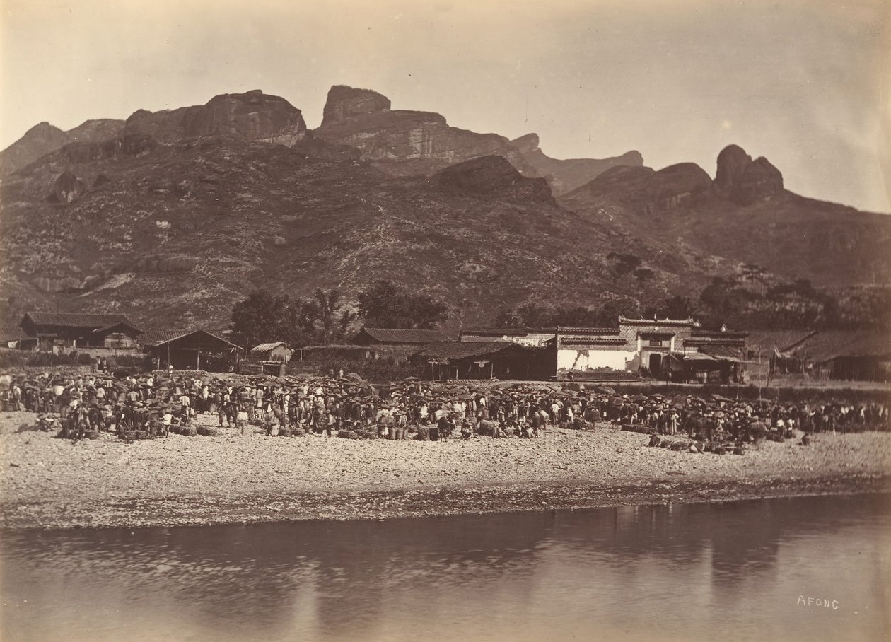 سوق البط ، كاليفورنيا. 1869. بواسطة أفونغ لاي
