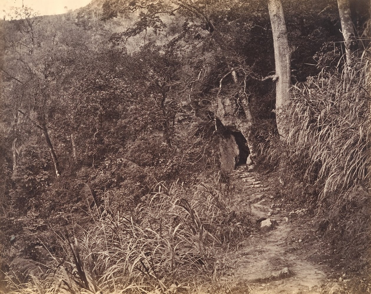 الطريق اليسرى حتى دير يوين فو ، كاليفورنيا. 1869. بواسطة أفونغ لاي