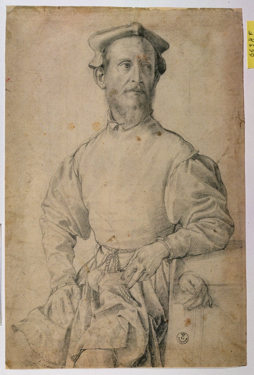 صورة جاكوبو بونتورمو (1497-1557) (طباشير أسود على ورق) بواسطة أغنولو برونزينو