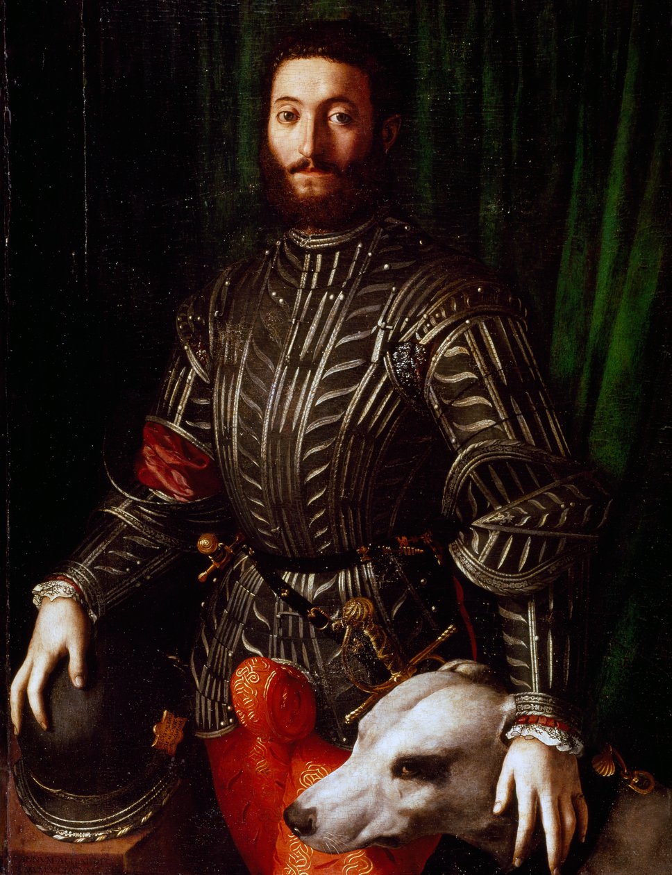 Portrait of Guidobaldo II della Rovere (Urbino, Pesaro-1514 بواسطة أغنولو برونزينو
