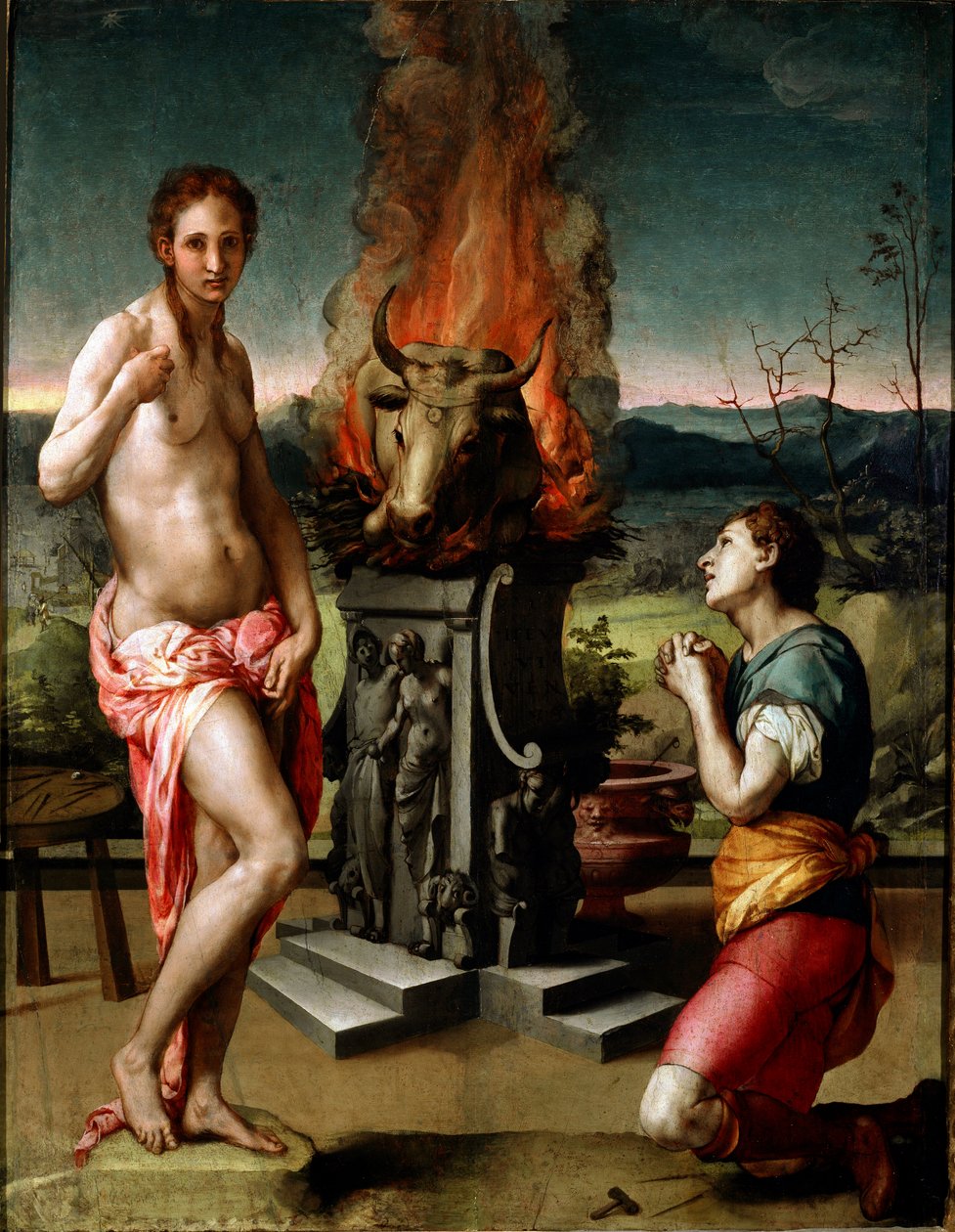 لوحة Pygmalion و Galatee (أو Galathee) بواسطة Agnolo di Cosimo di Mariano dit Il Bronzino (1502-1572) 1529-1530 الشمس .81x63 سم فلورنسا ، معرض أوفيزي (متحف أوفيزي) بواسطة أغنولو برونزينو