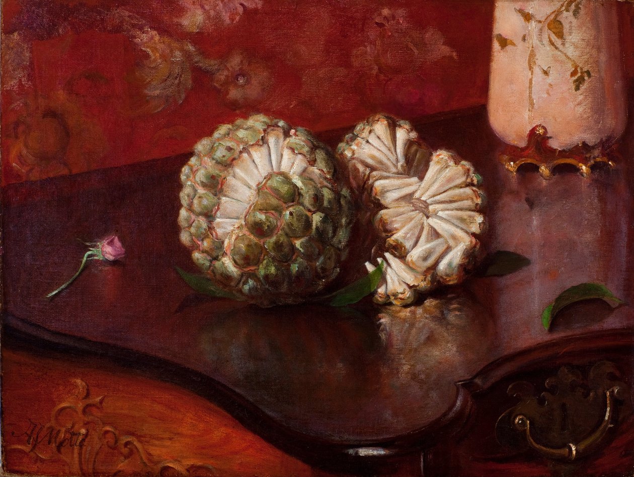 Sweetsop بواسطة أغوستينودا موتا