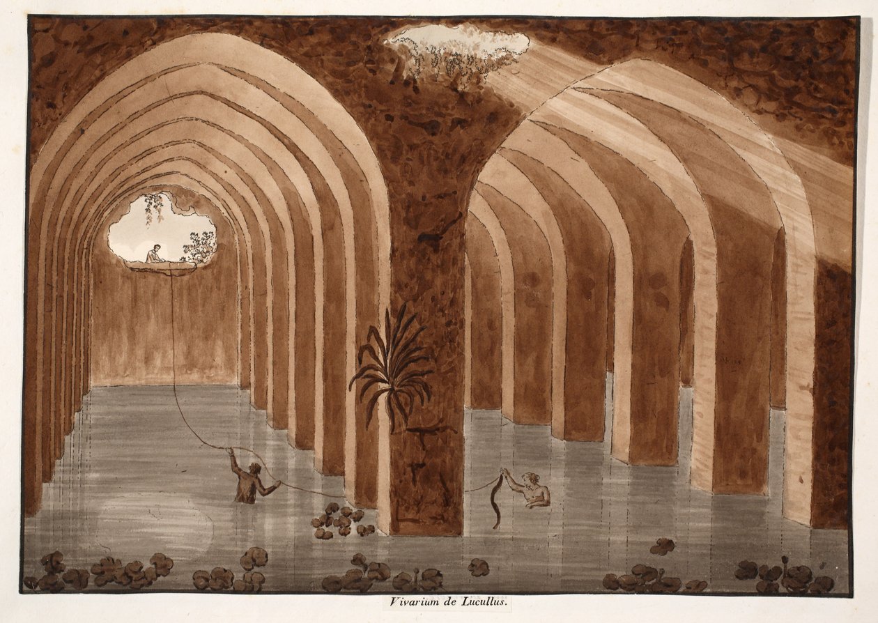 The Vivarium of Lucullus ، 1833 (النقش بغسل بني) بواسطة اجوستينو توفانيلي
