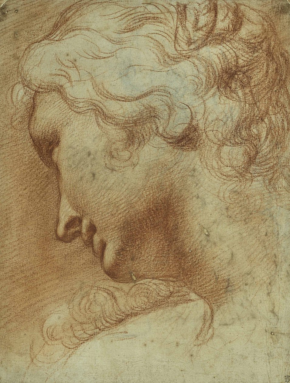 Head of a young woman looking down over her right shoulder (red chalk on paper) بواسطة أغوستينو كاراتشي