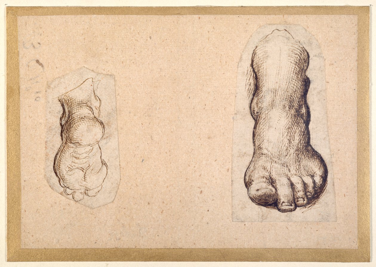 Two studies of a foot in foreshortening (pen & ink on paper) بواسطة أغوستينو كاراتشي