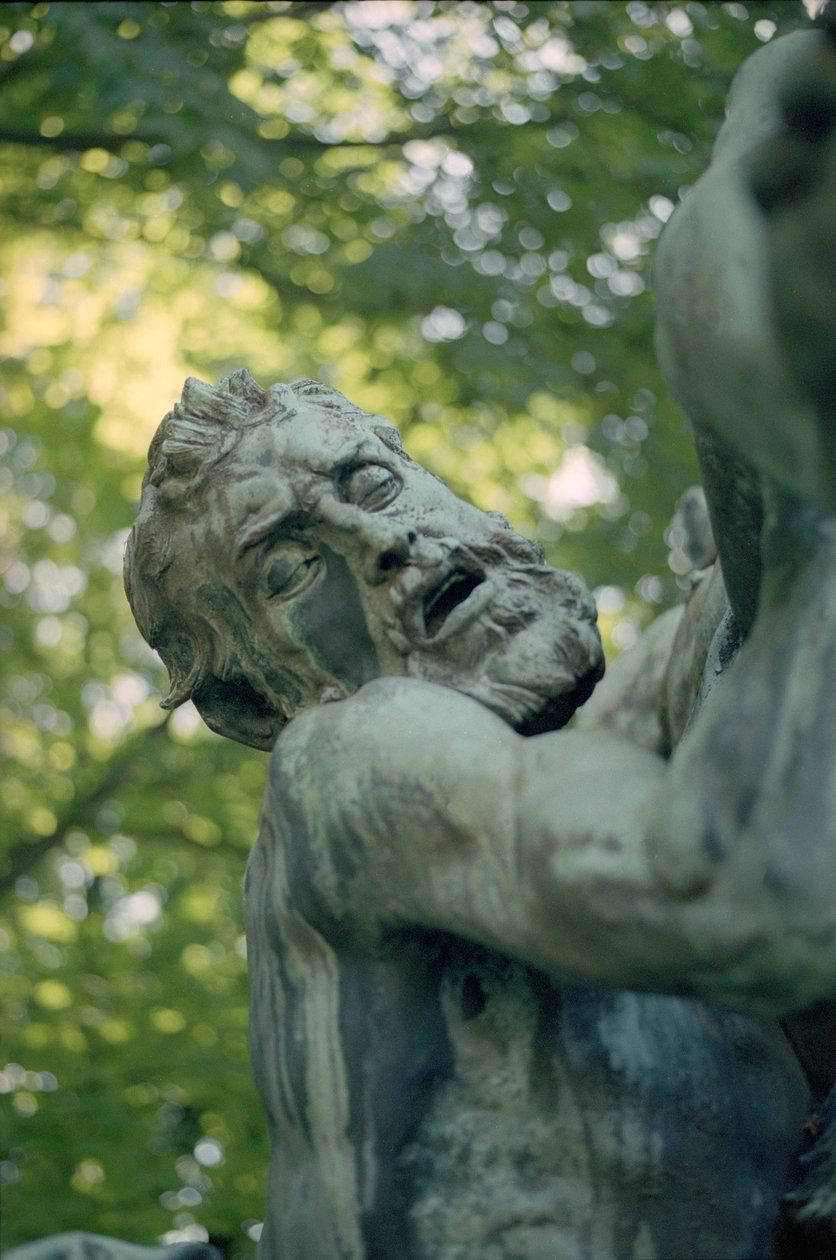 انتصار Silenus ، التفاصيل (البرونزية) (انظر أيضًا 252668 و 252669) بواسطة ايم جول دالو