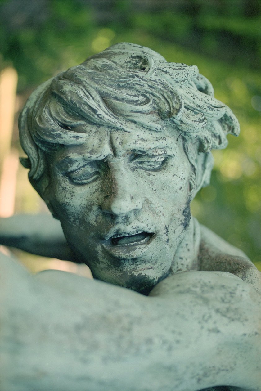 انتصار Silenus ، التفاصيل (البرونزية) (انظر أيضًا 252668 و 252670) بواسطة ايم جول دالو