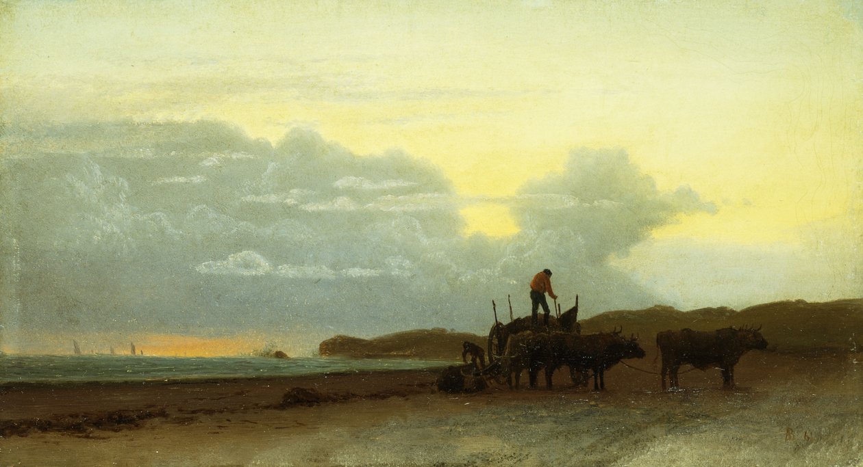 منظر ساحلي ، نيوبورت ، 1861 بواسطة ألبرت بيرشتات