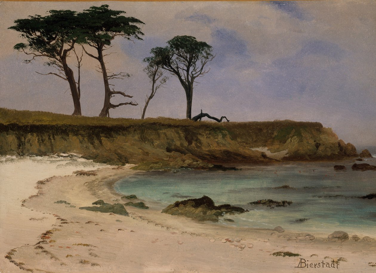 Sea Cove ، حوالي 1880-90 (زيت على خشب) بواسطة ألبرت بيرشتات